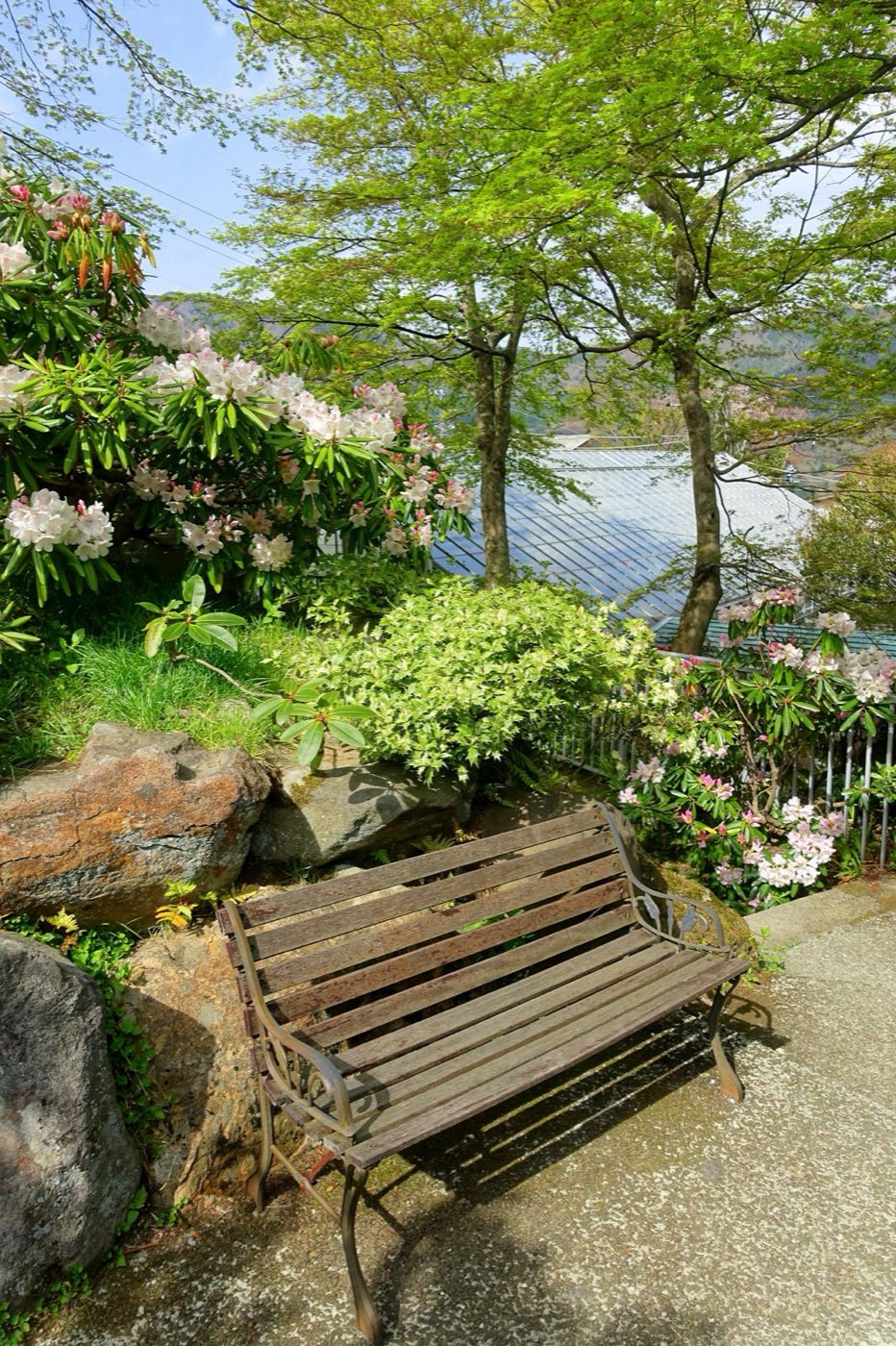 花に囲まれた公園のベンチ